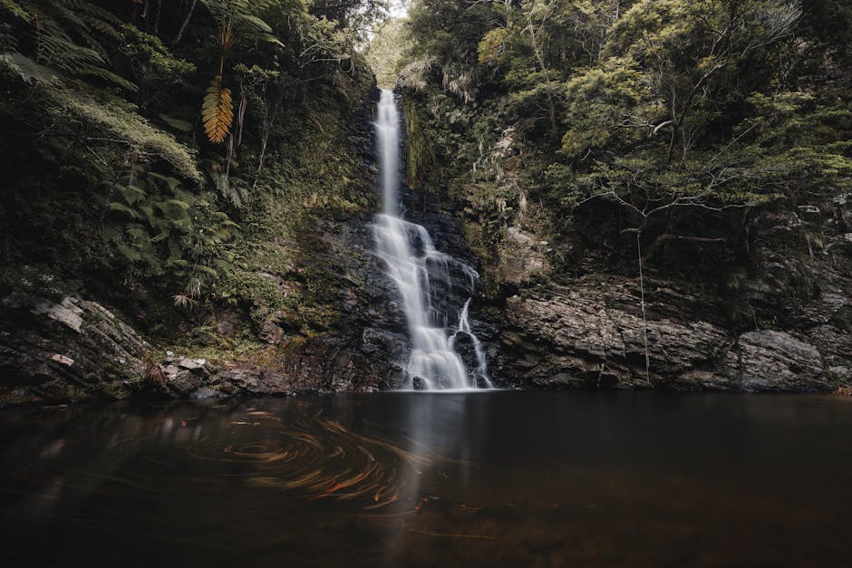 Discover the tranquil beauty of a cascading waterfall surrounded by lush green foliage in a serene forest setting in Japan.