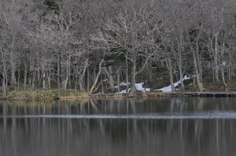 冬の阿寒湖と森