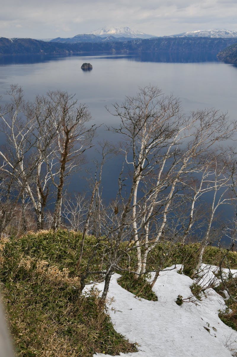 摩周湖の白樺と雪景色