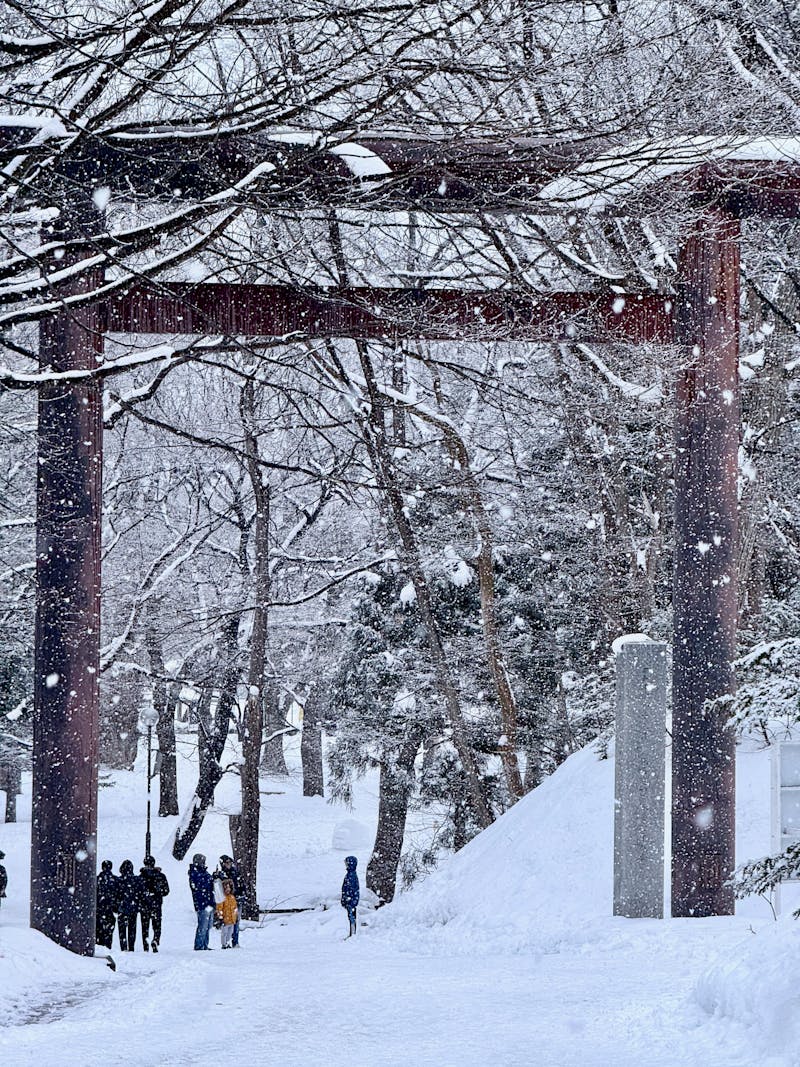 Winter Torii and Snow