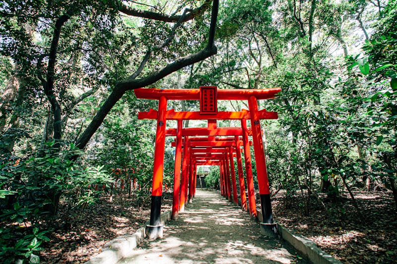 Red Torii Gate Path