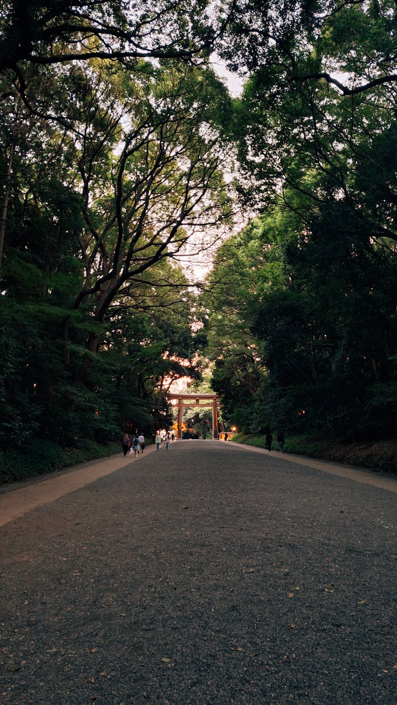 大崎八幡宮の鳥居