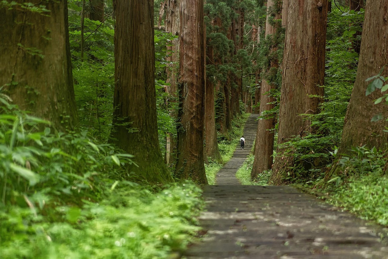 羽黒山神社参道