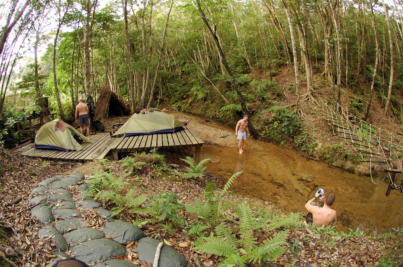 Sacred forest of Okinawa