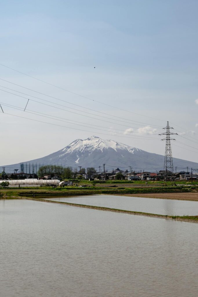 Mount Chokai with rice fields in foreground