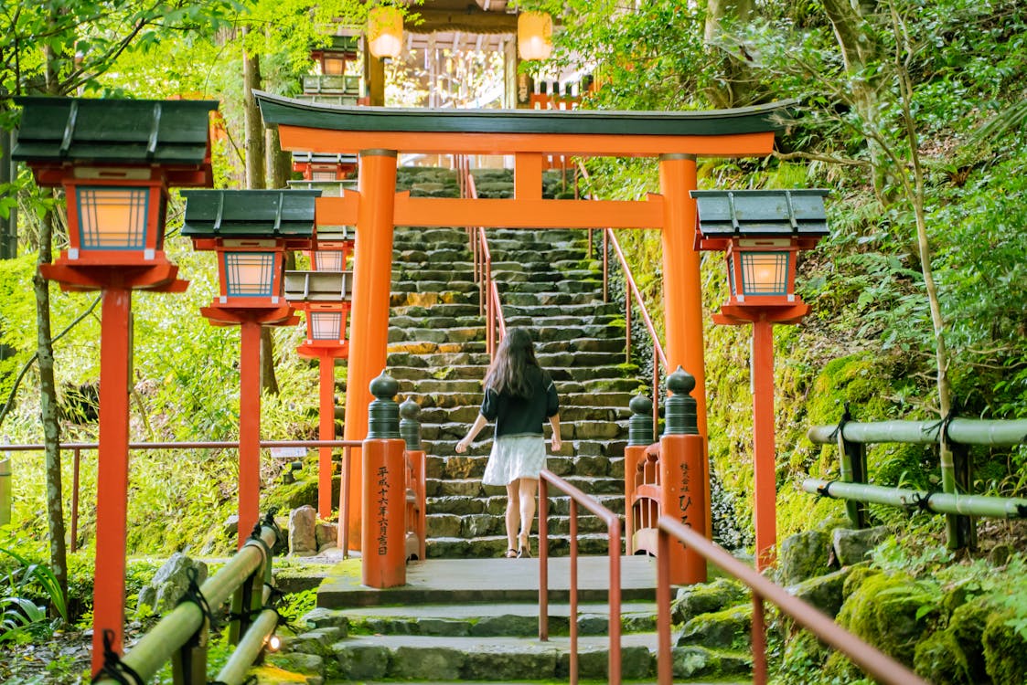 森の中の神社参道