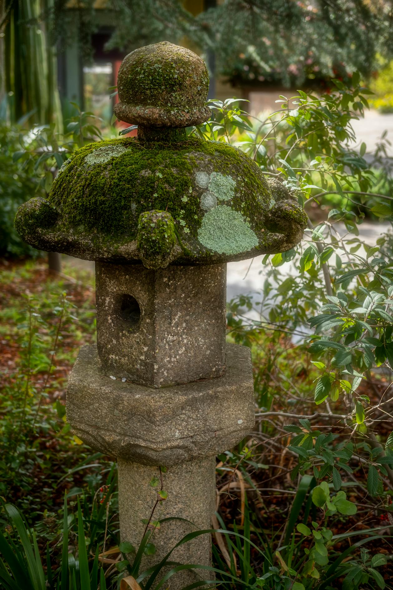 苔むした石灯籠