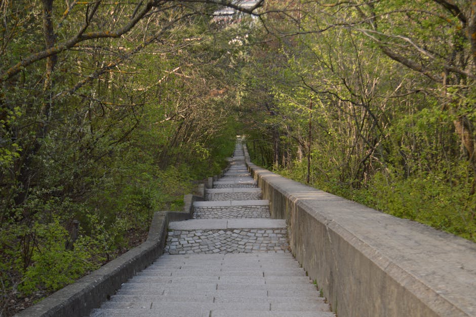 参道のイメージ