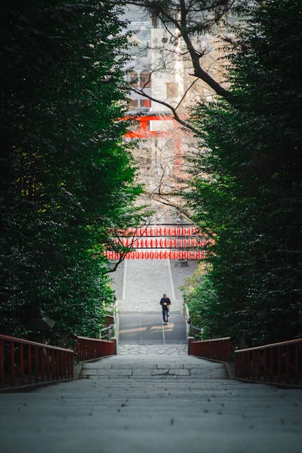 仙台の神社参道