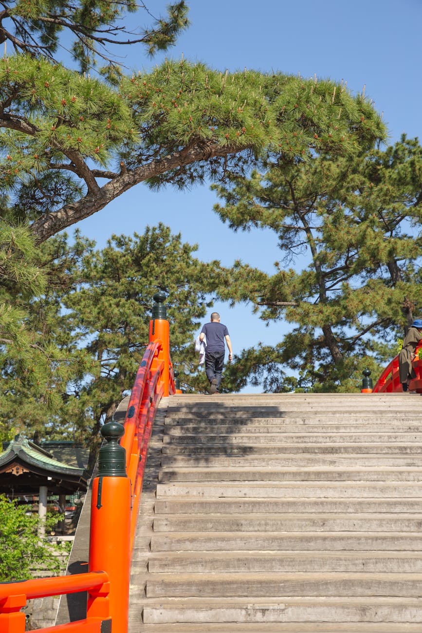 住吉大社の太鼓橋を渡る参拝者