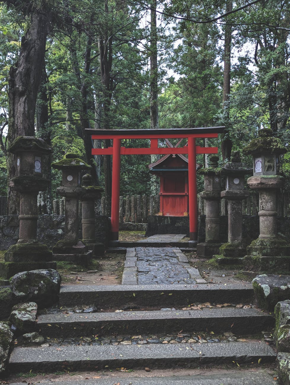 森の中の鳥居