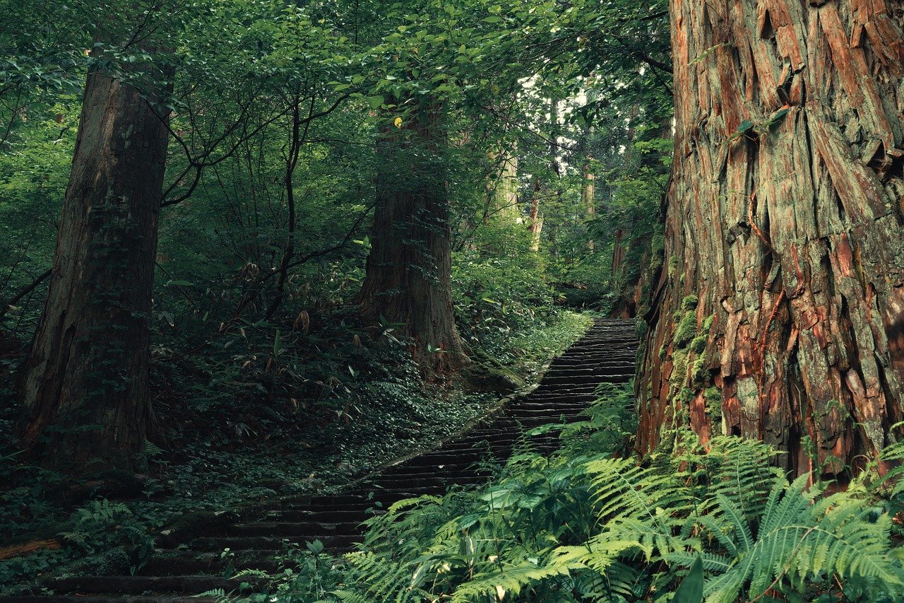 Ise Jingu Sacred Grounds