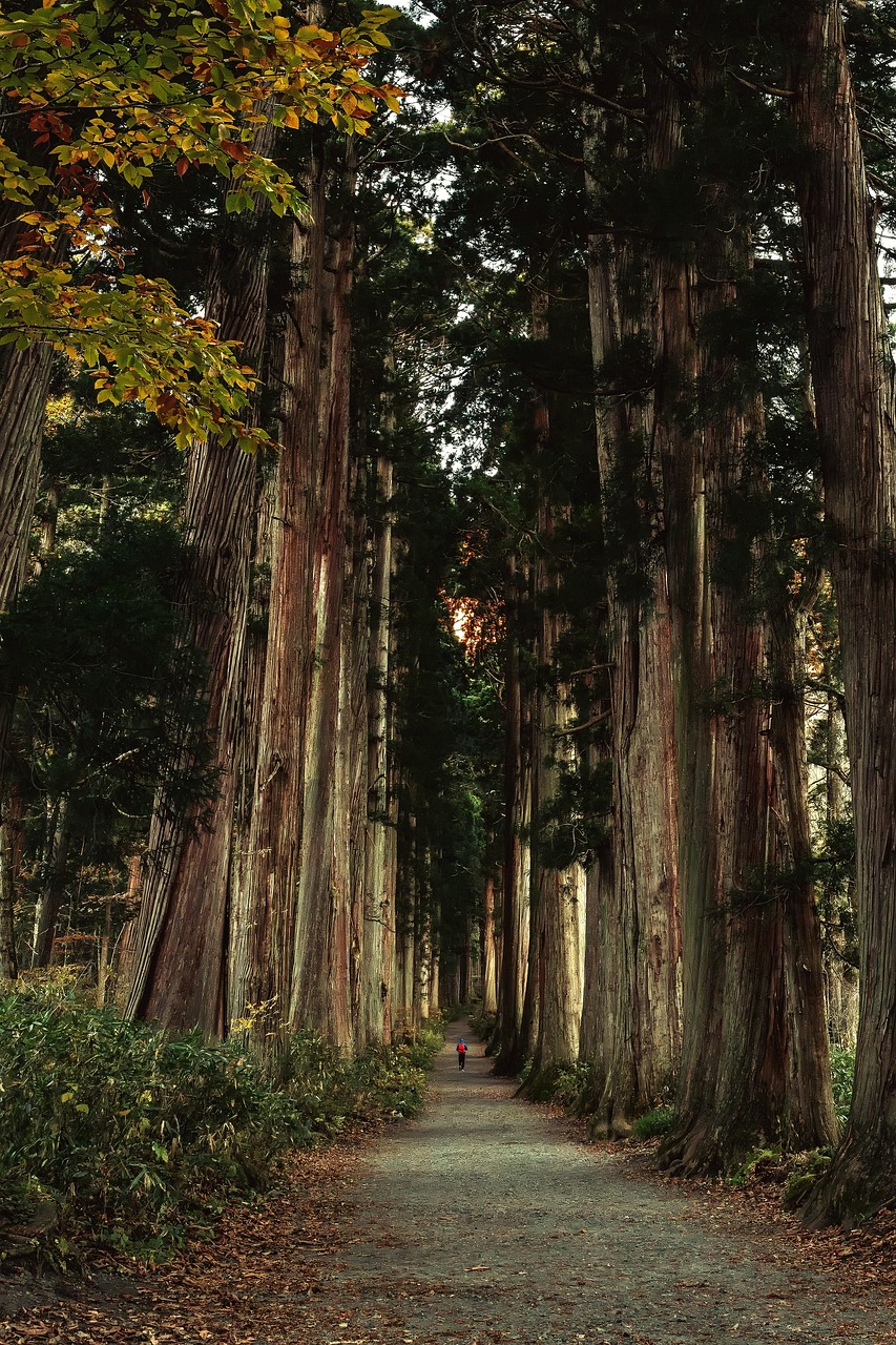Ise Jingu in Spring
