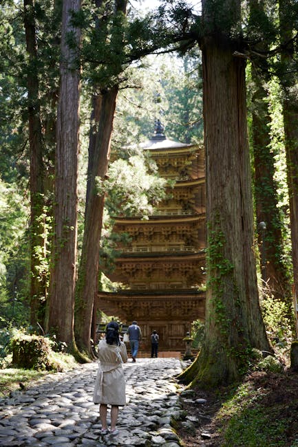 Haguro-san cedar avenue and stone steps