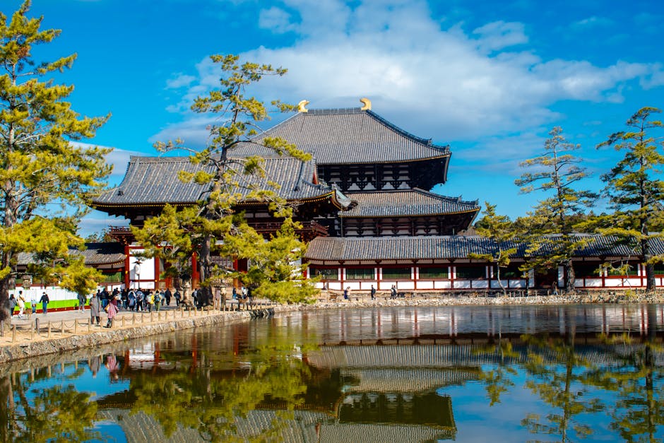鏡池に映る東大寺の美しい風景