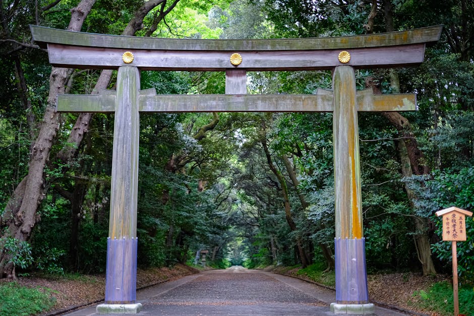 霧に包まれた神社の鳥居