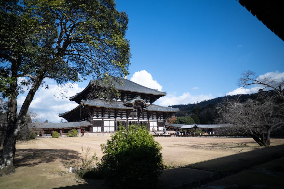 奈良の大仏（盧舎那仏坐像）の圧倒的な姿