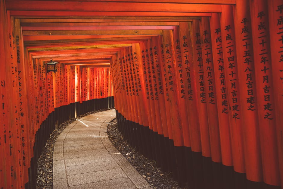 Inside the torii tunnel