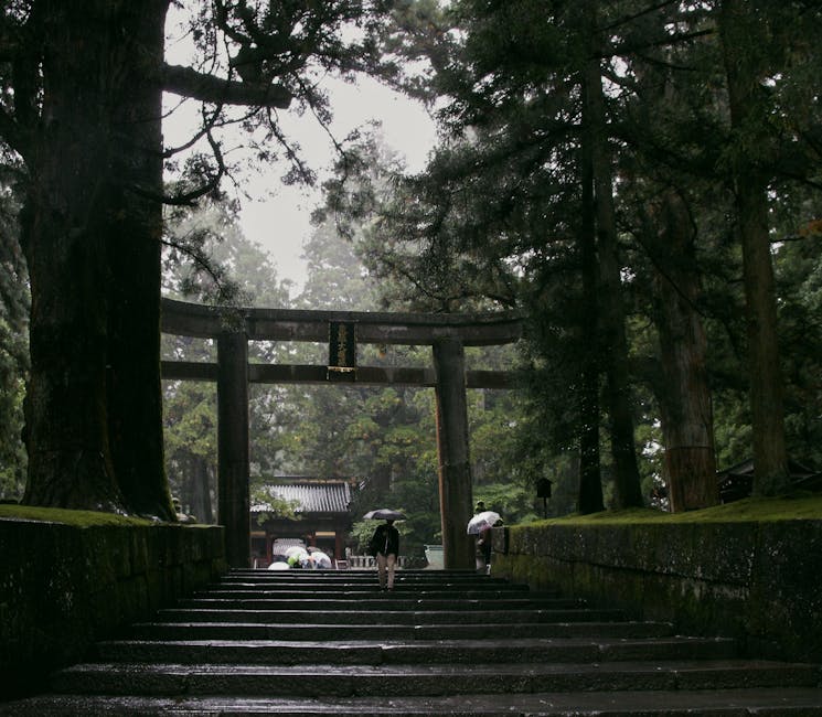 Misty torii gate at Tosa Shrine