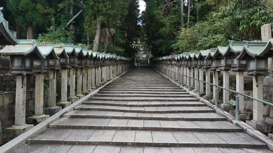Tosa Shrine approach