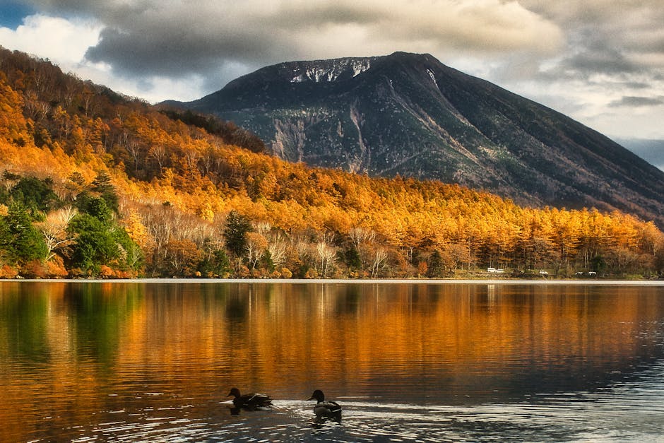 Autumn lake with mountain and reflection