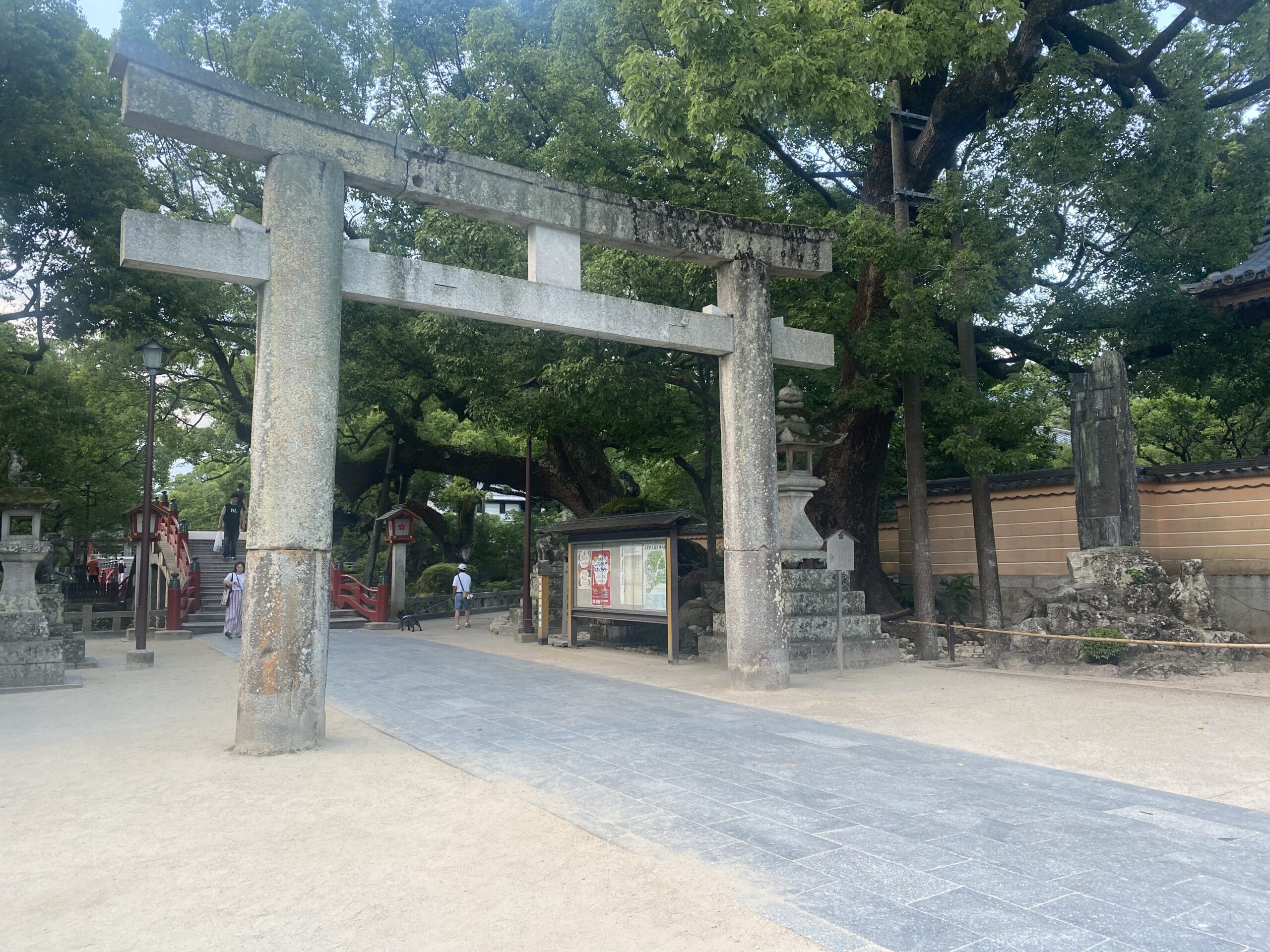 Stone torii gate and great camphor tree