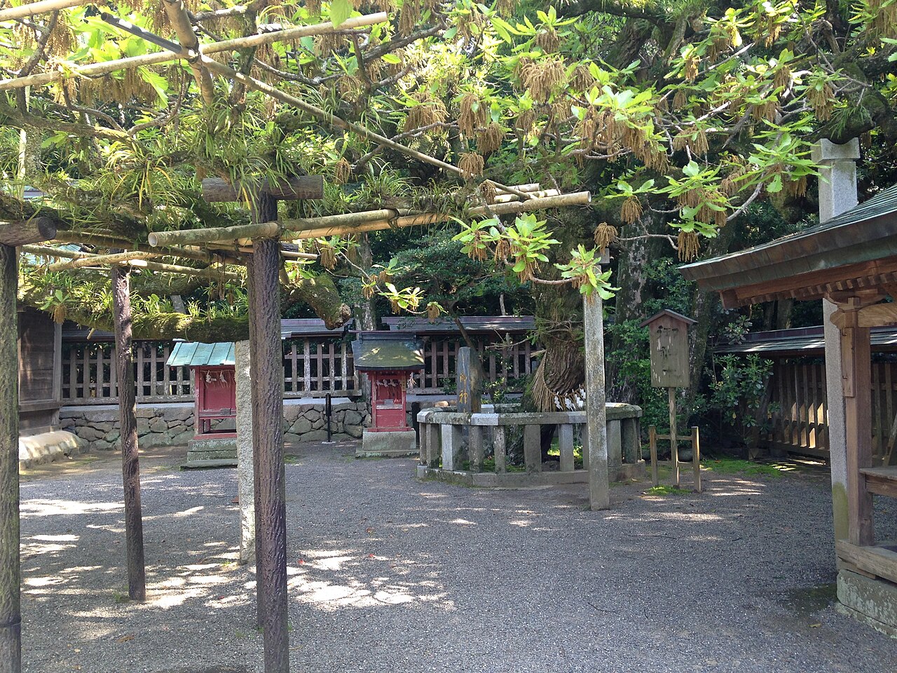 宗像大社辺津宮の御神木「楢の木」と境内の祠