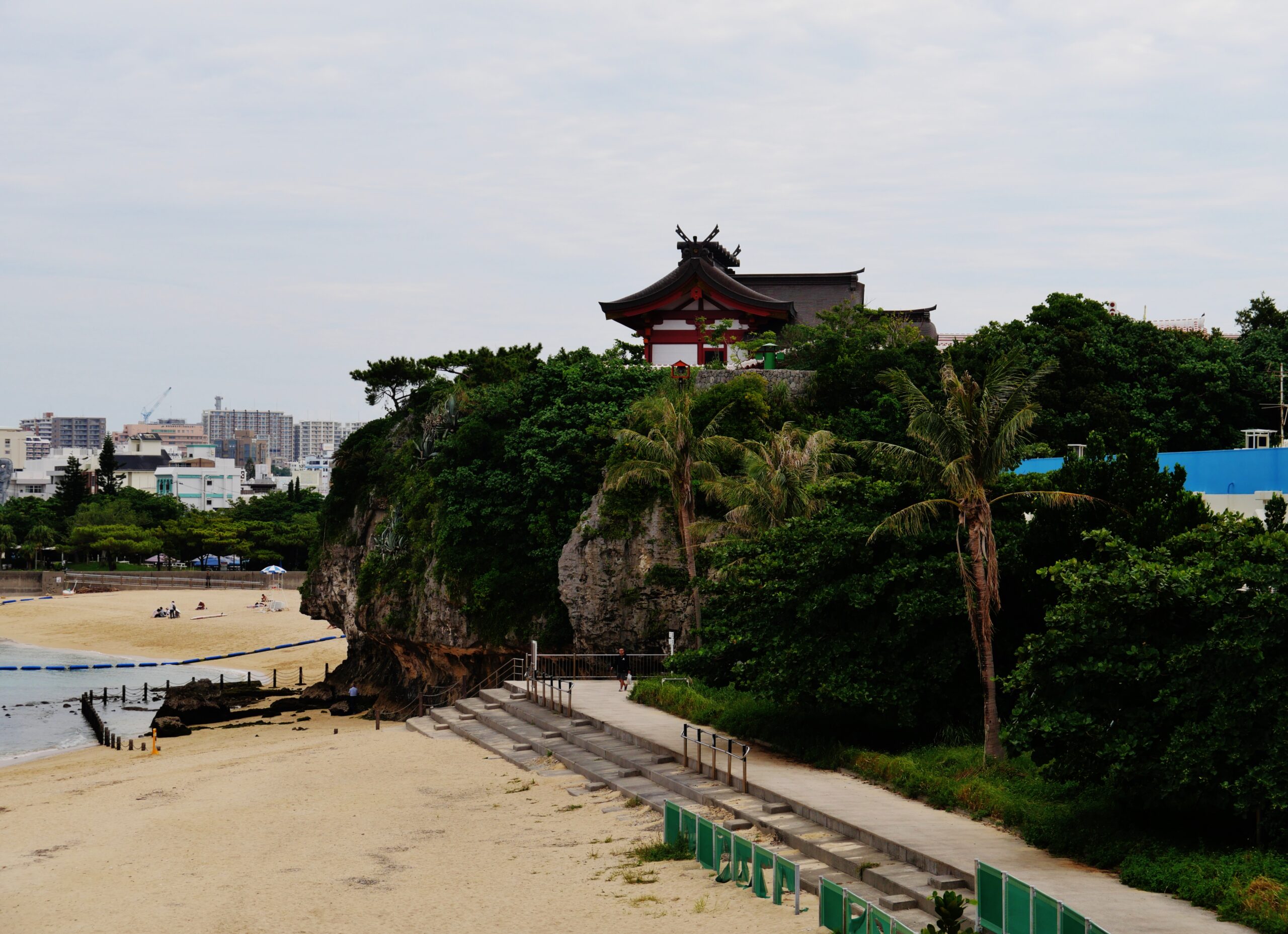 Palm trees lining the pathway approach to Naminoue Shrine with the cliff and shrine visible