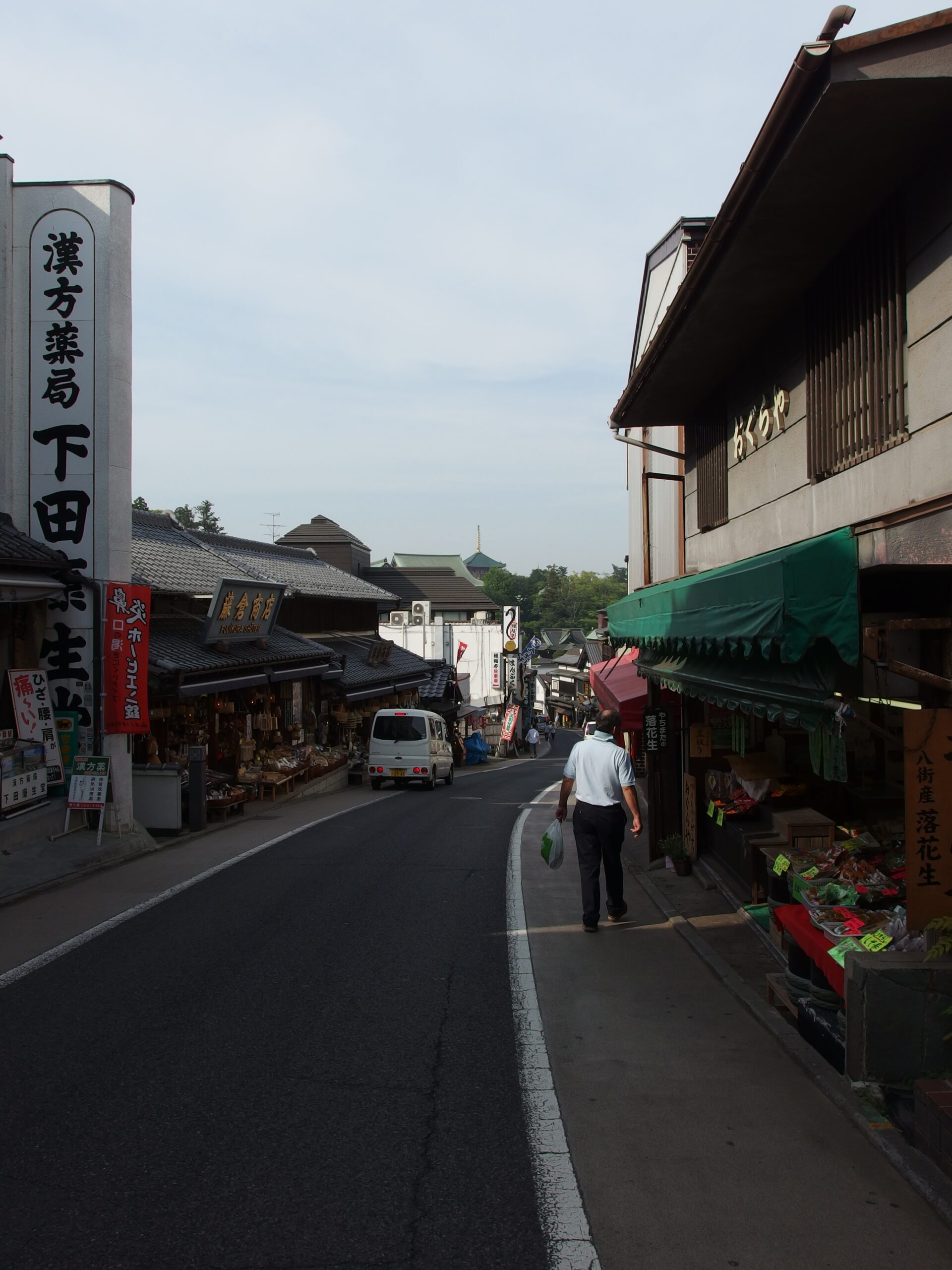 The Omotesando approach street leading to Naritasan