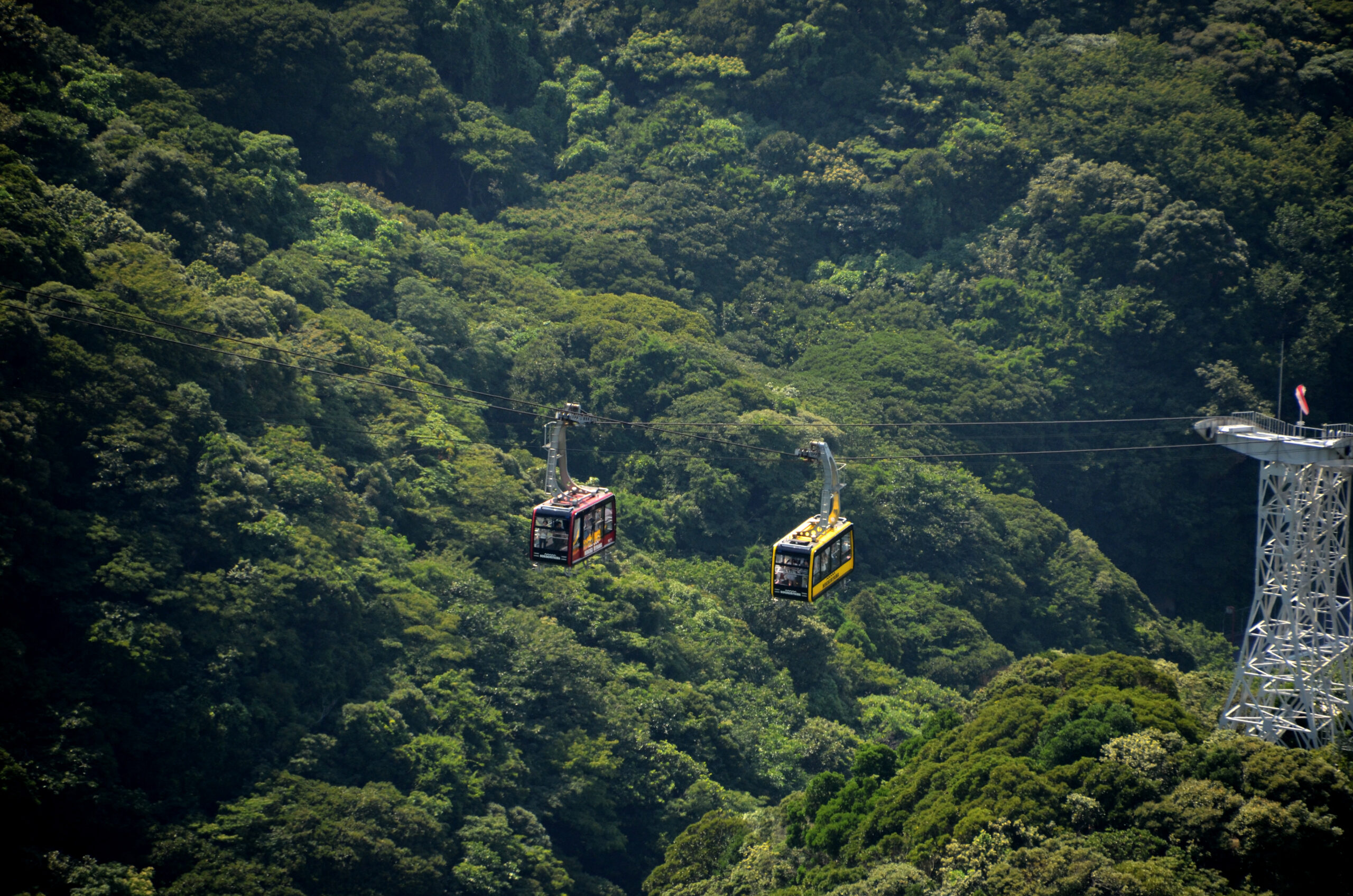 Mount Nokogiri ropeway gondolas crossing against a backdrop of deep green mountainside