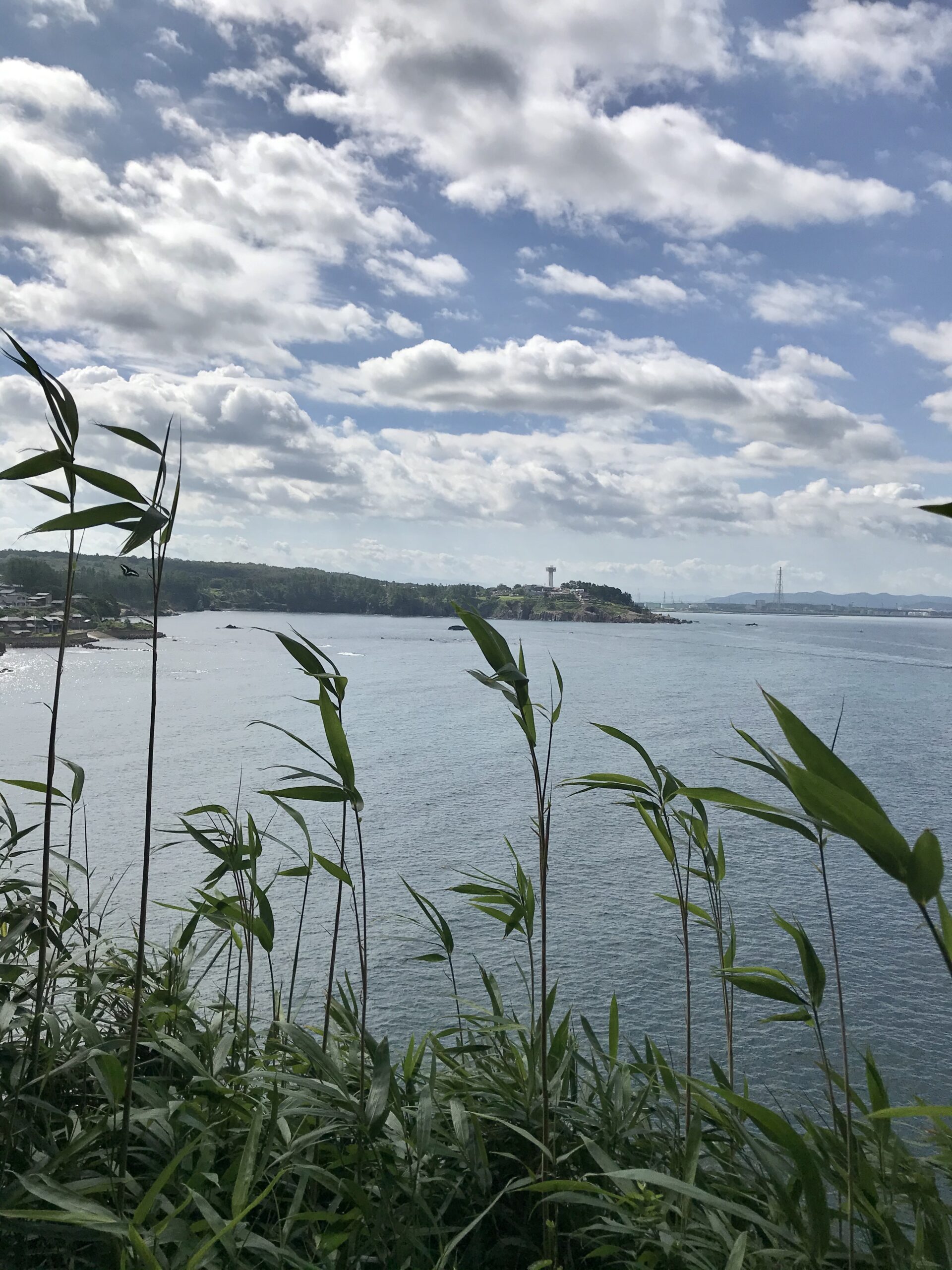 View of the Tojinbo coastline from Oshima Island