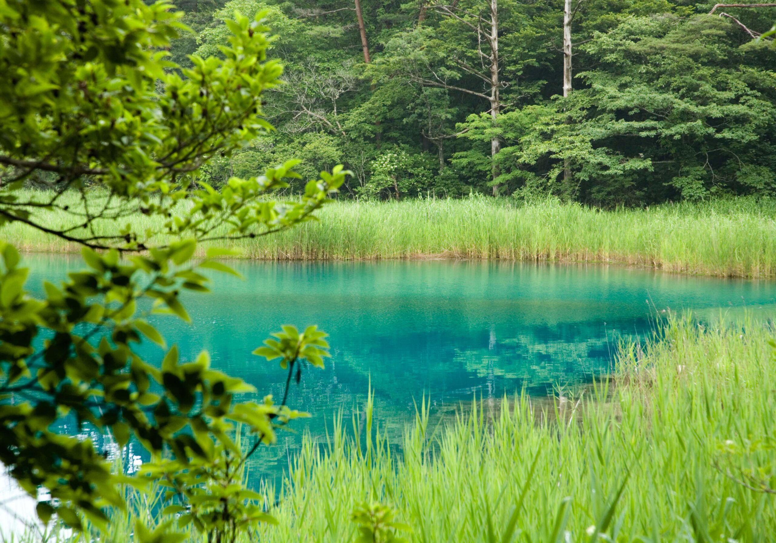 Ao-numa's vivid emerald-green water