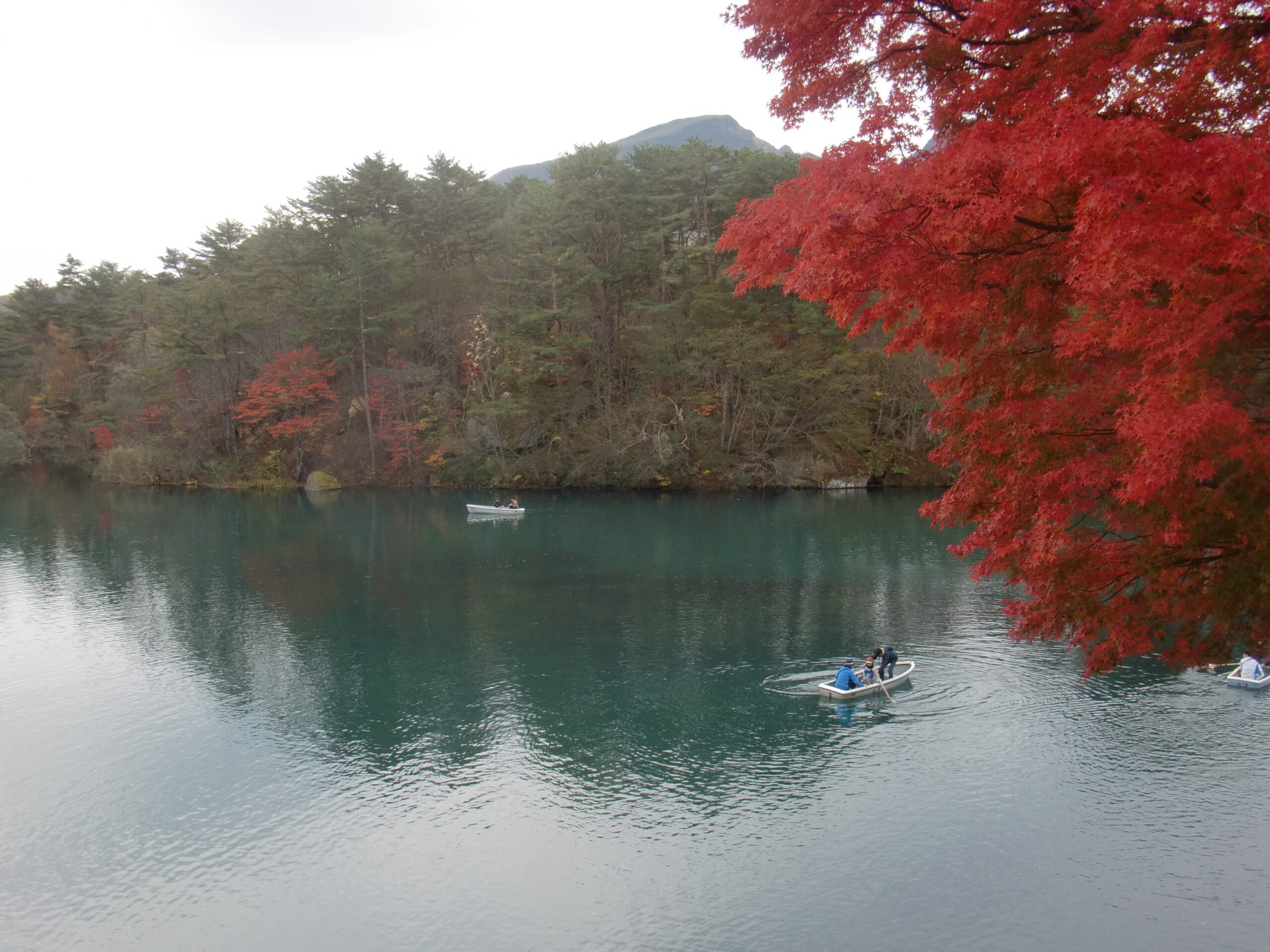 Bishamon-numa in autumn with rowboats