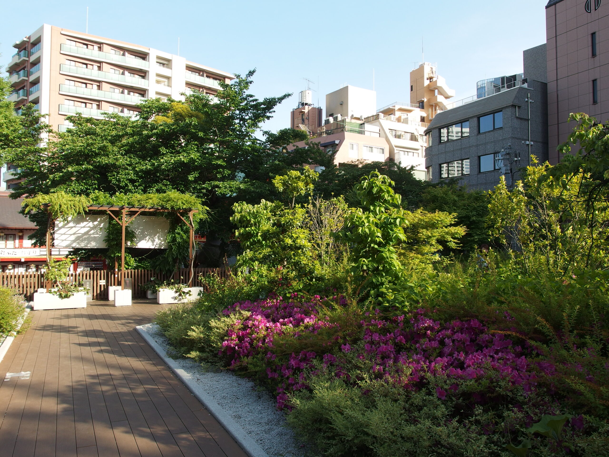 神田明神境内の庭園