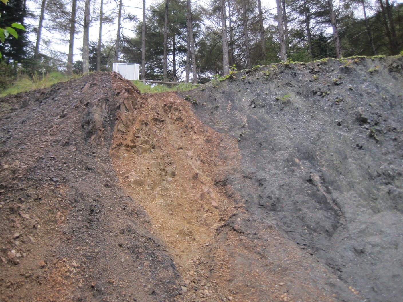 Median Tectonic Line outcrop
