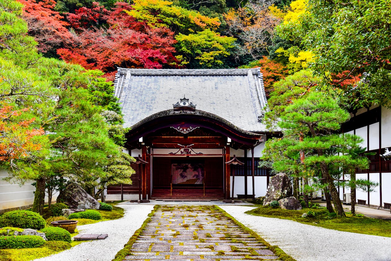 Autumn foliage at a temple (image)