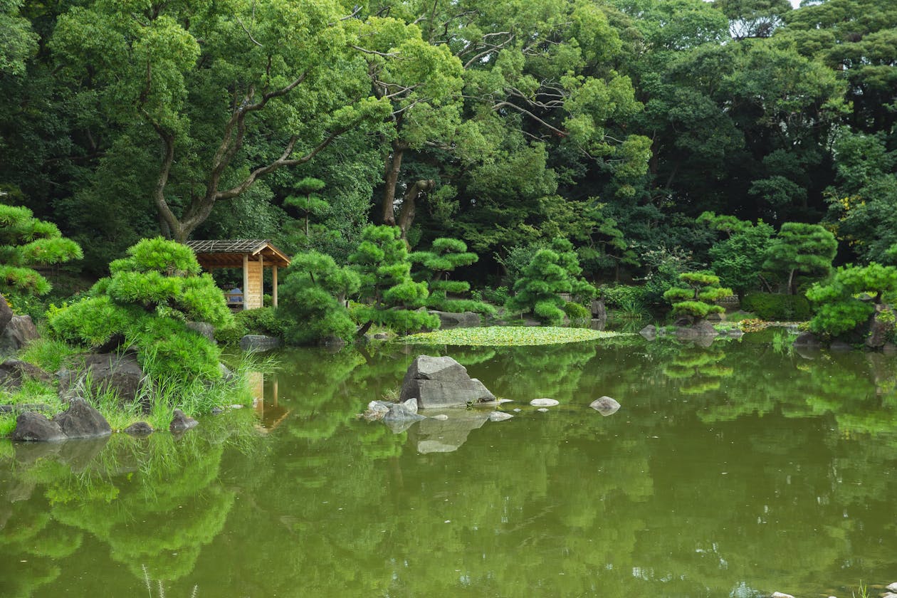 庭園と池の風景（イメージ）