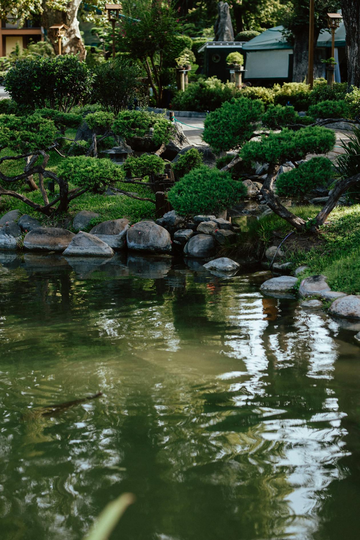 A Japanese garden with a pond and greenery (image)