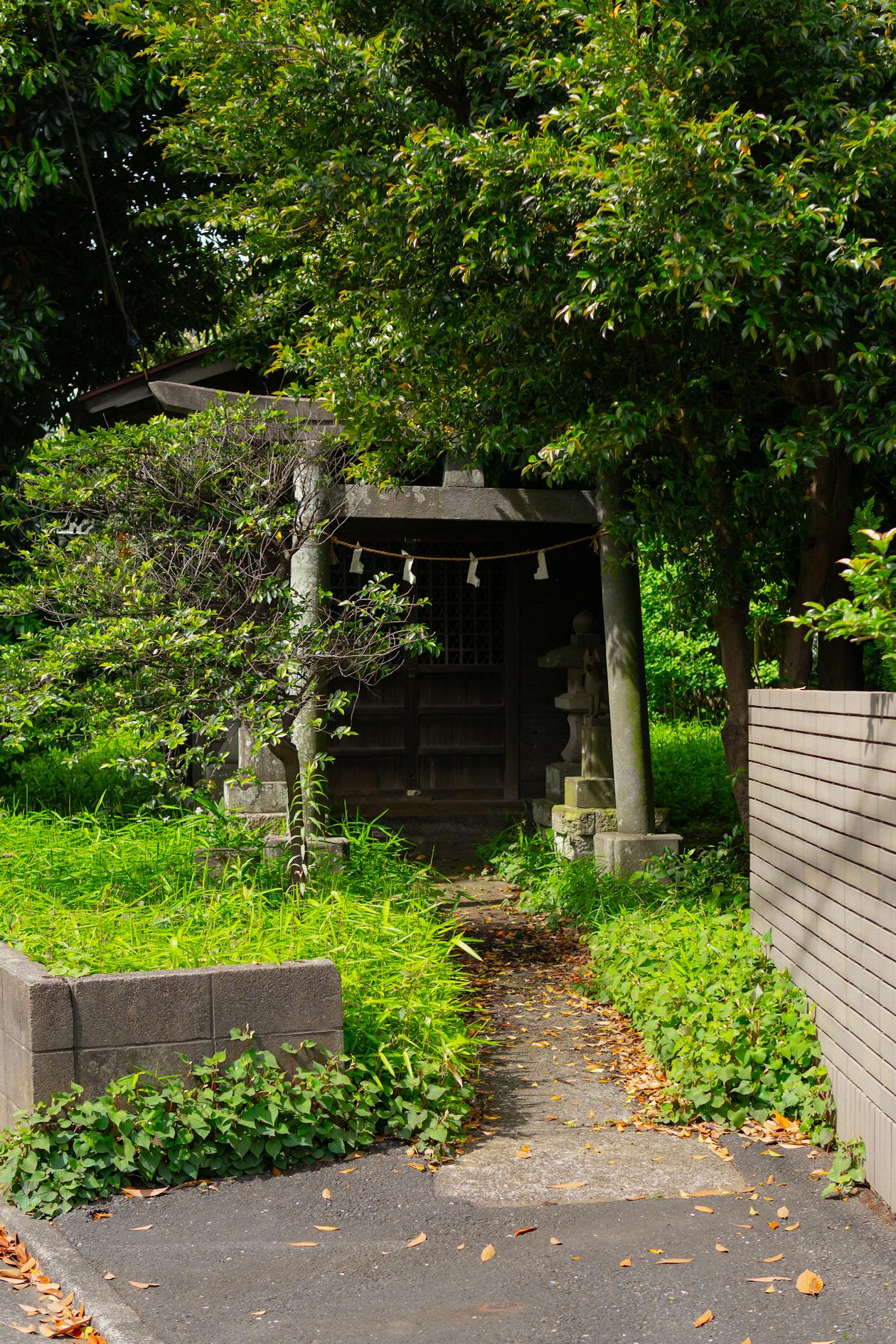 緑に囲まれた小さな神社の参道（イメージ）