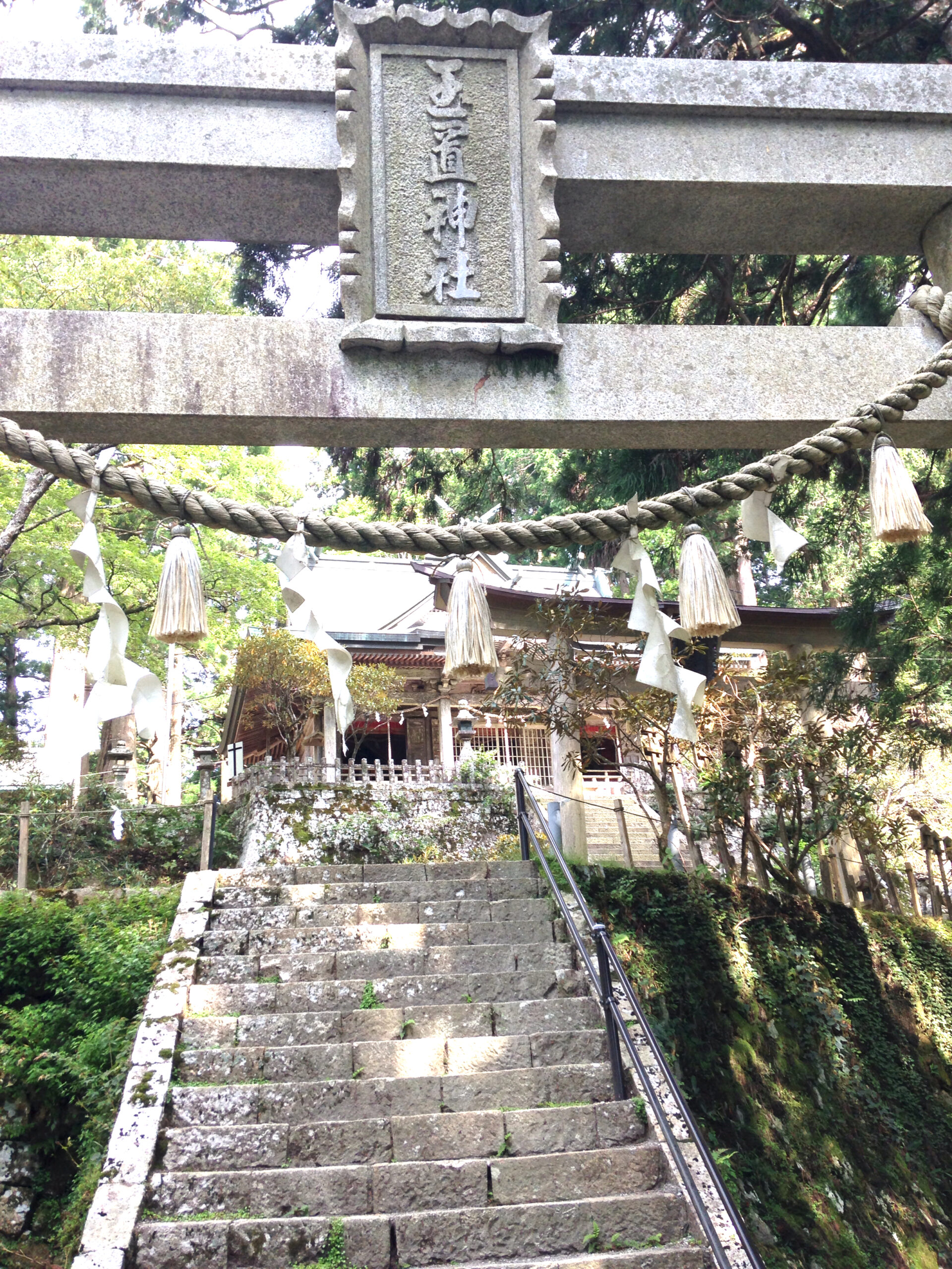 玉置神社の鳥居と参道