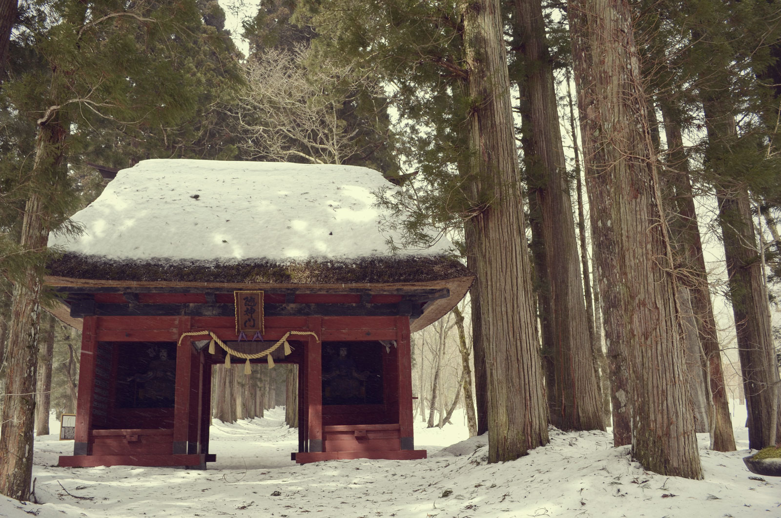 Togakushi Shrine in winter snow