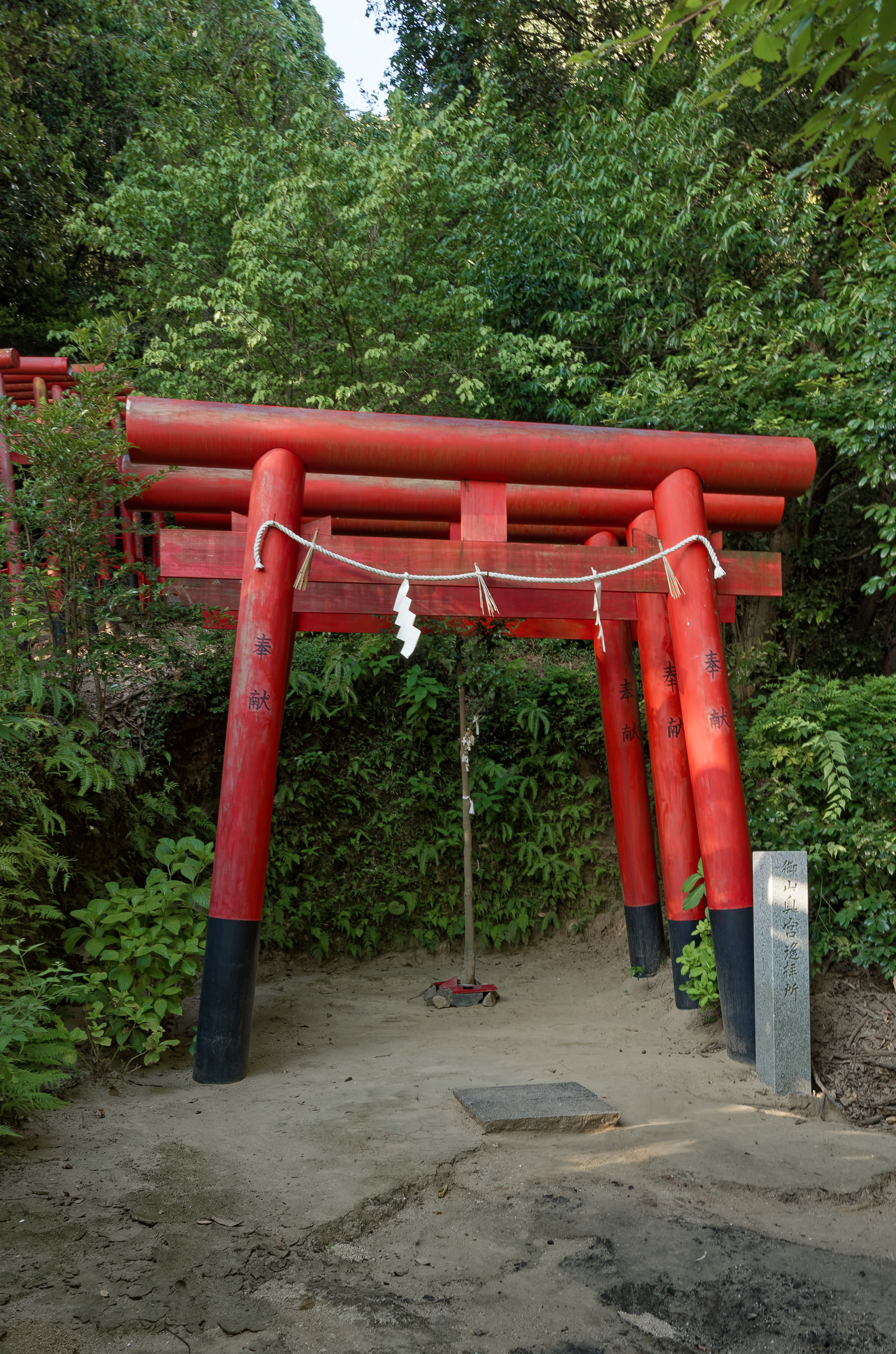 Kinko Inari Shrine's vermilion torii