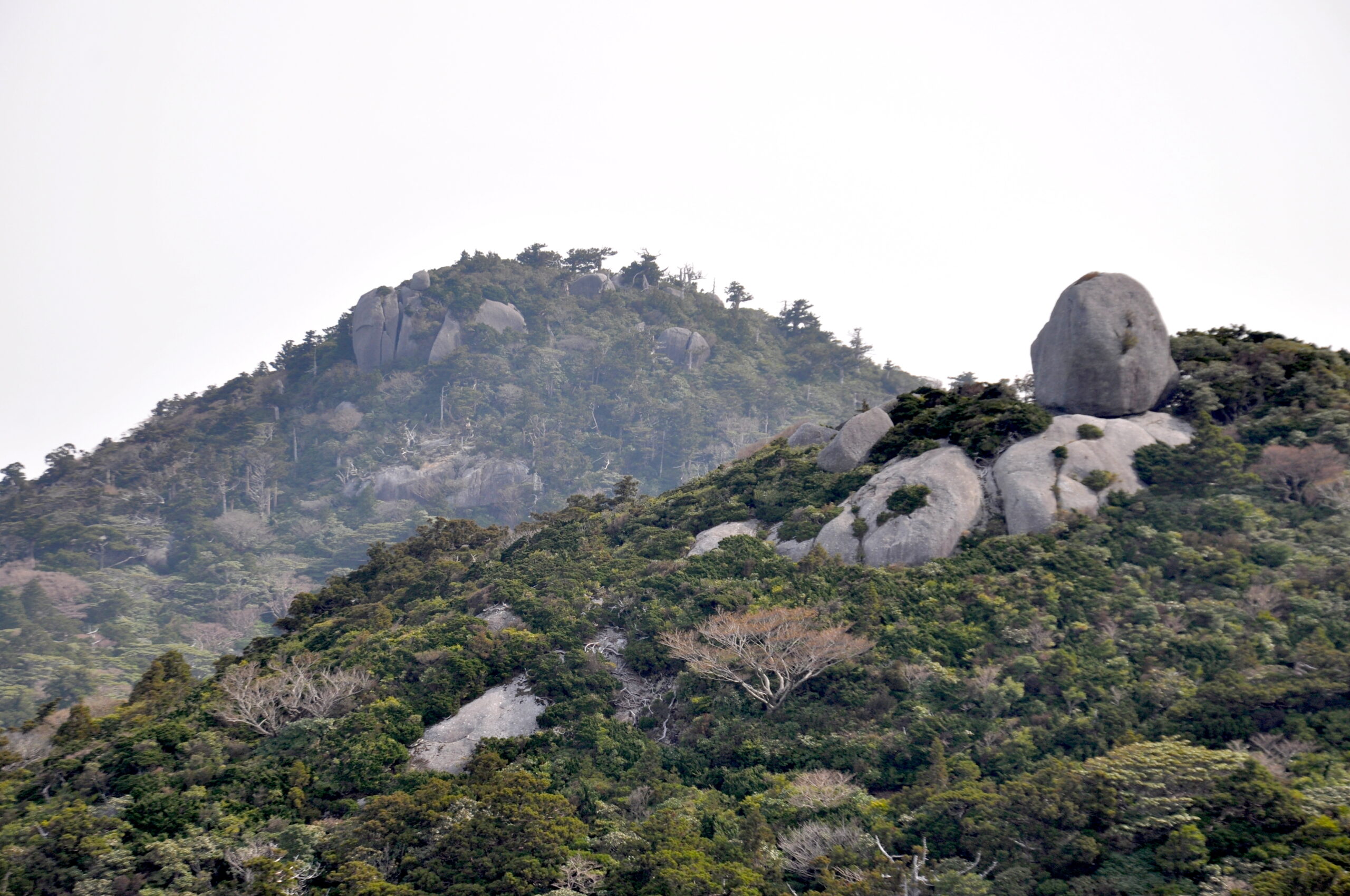 宮之浦岳。九州最高峰、標高1,936m