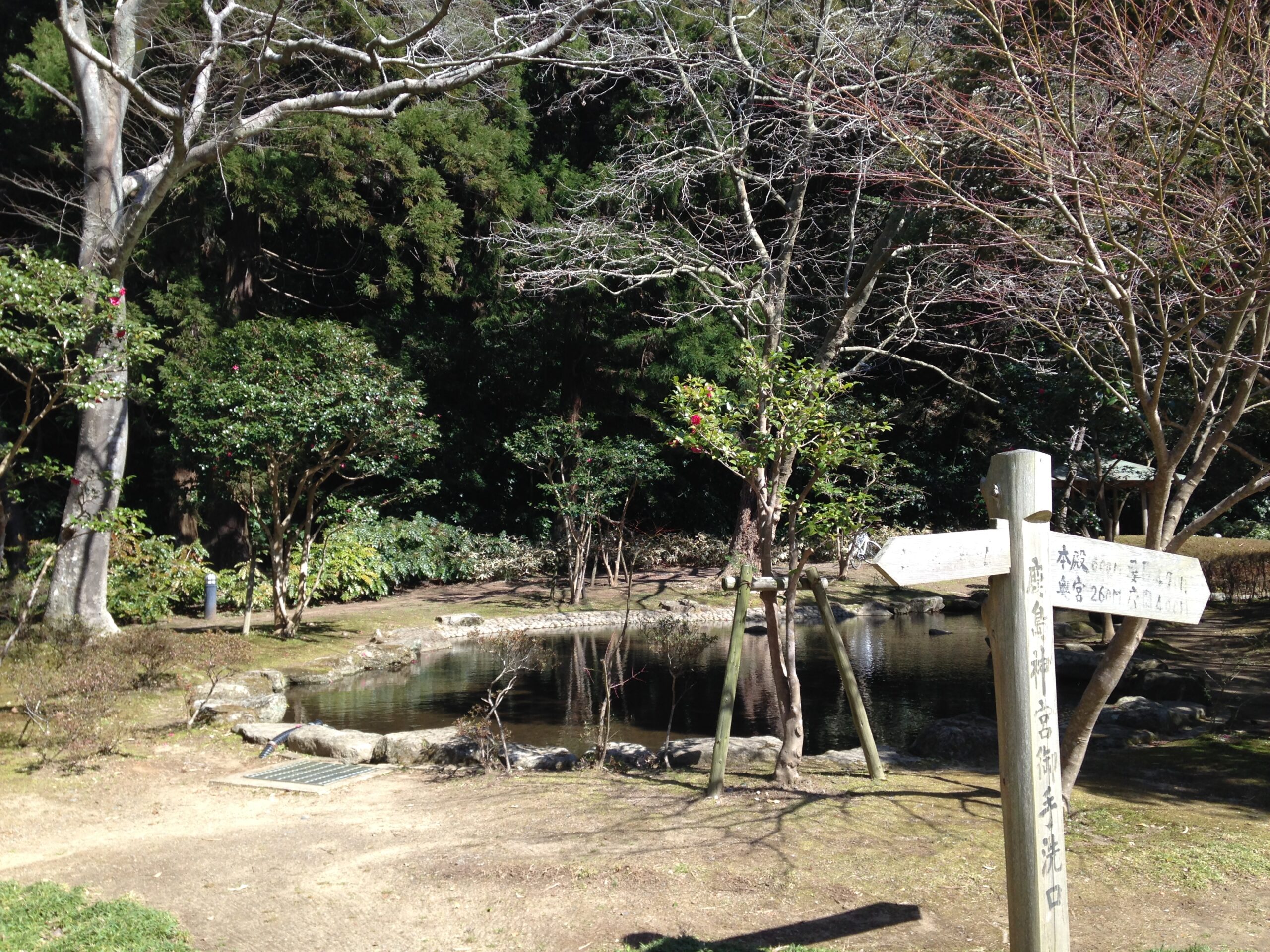 鹿島神宮の御手洗池