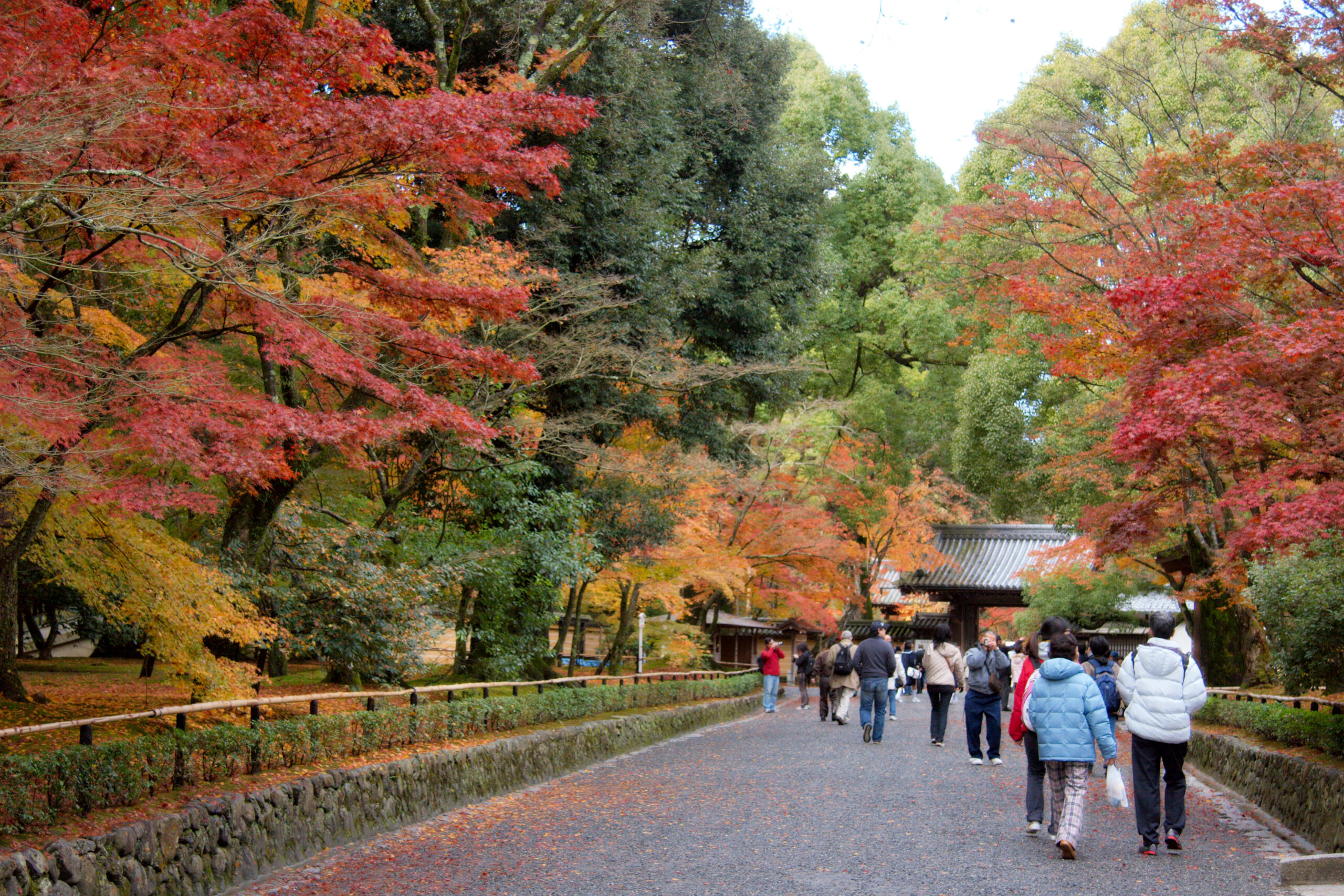 紅葉時期の参道