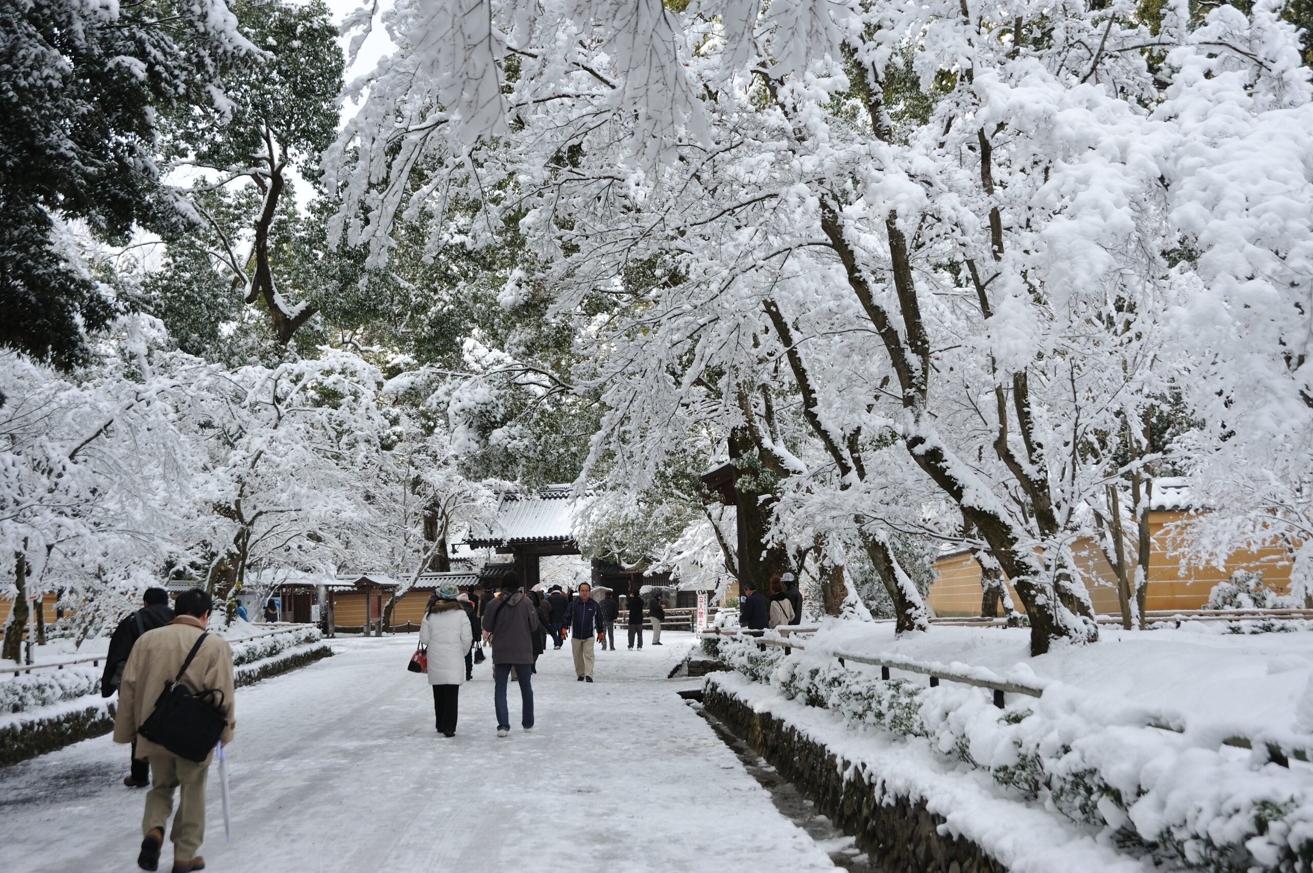 雪化粧した境内