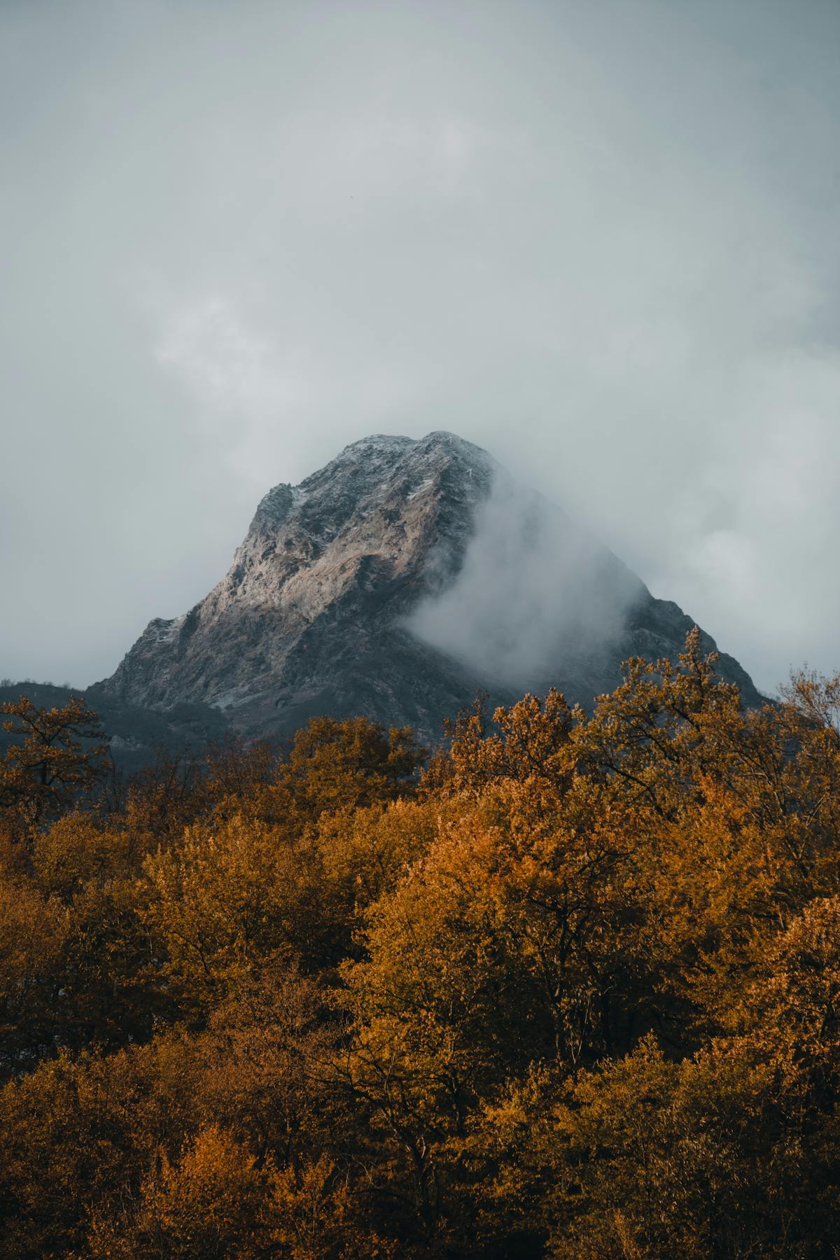 霧に包まれた山の風景