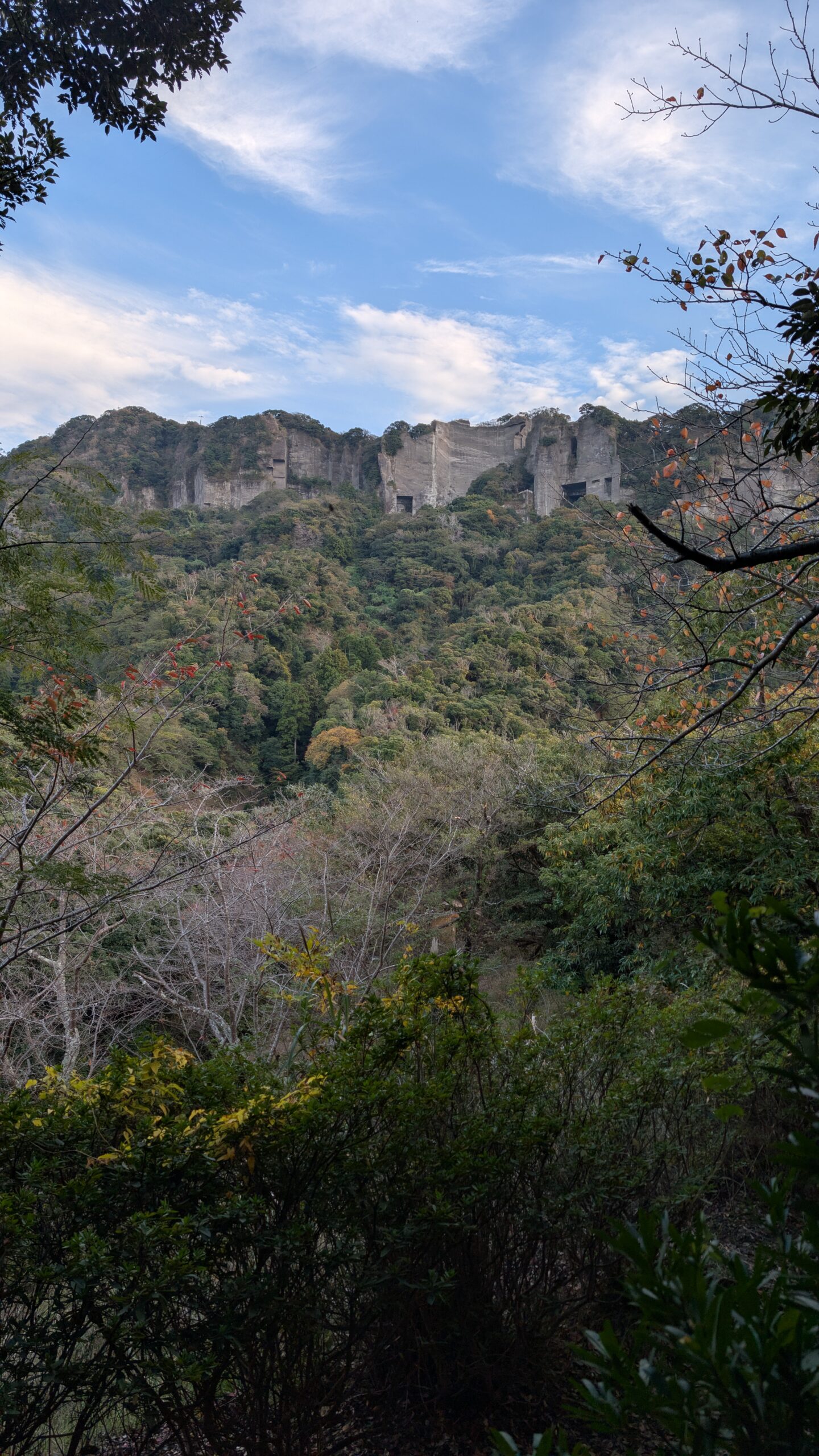 鋸山の石切場跡の遠景。垂直に切り出された岩壁が山肌に露出している