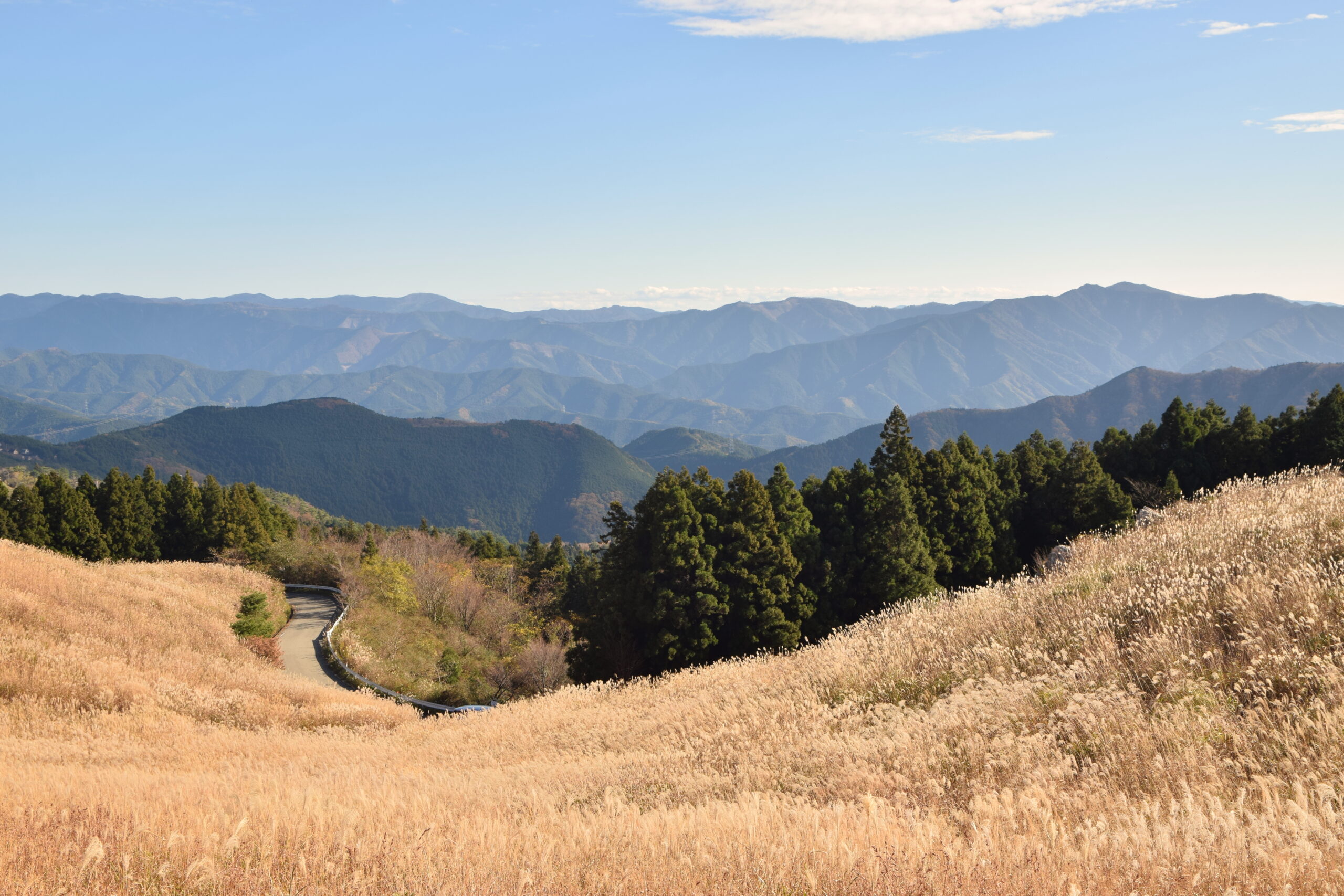 草原を縫う道と紀州の山並み