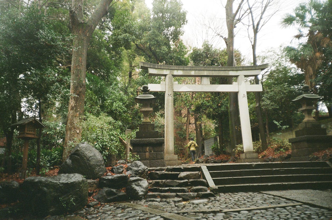 緑に囲まれた鳥居と参道(イメージ)